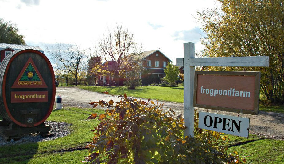 Frogpond farm organic winery