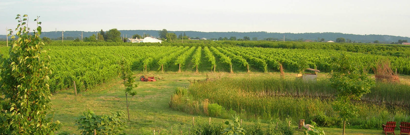 Frogpond Farm Organic Winery