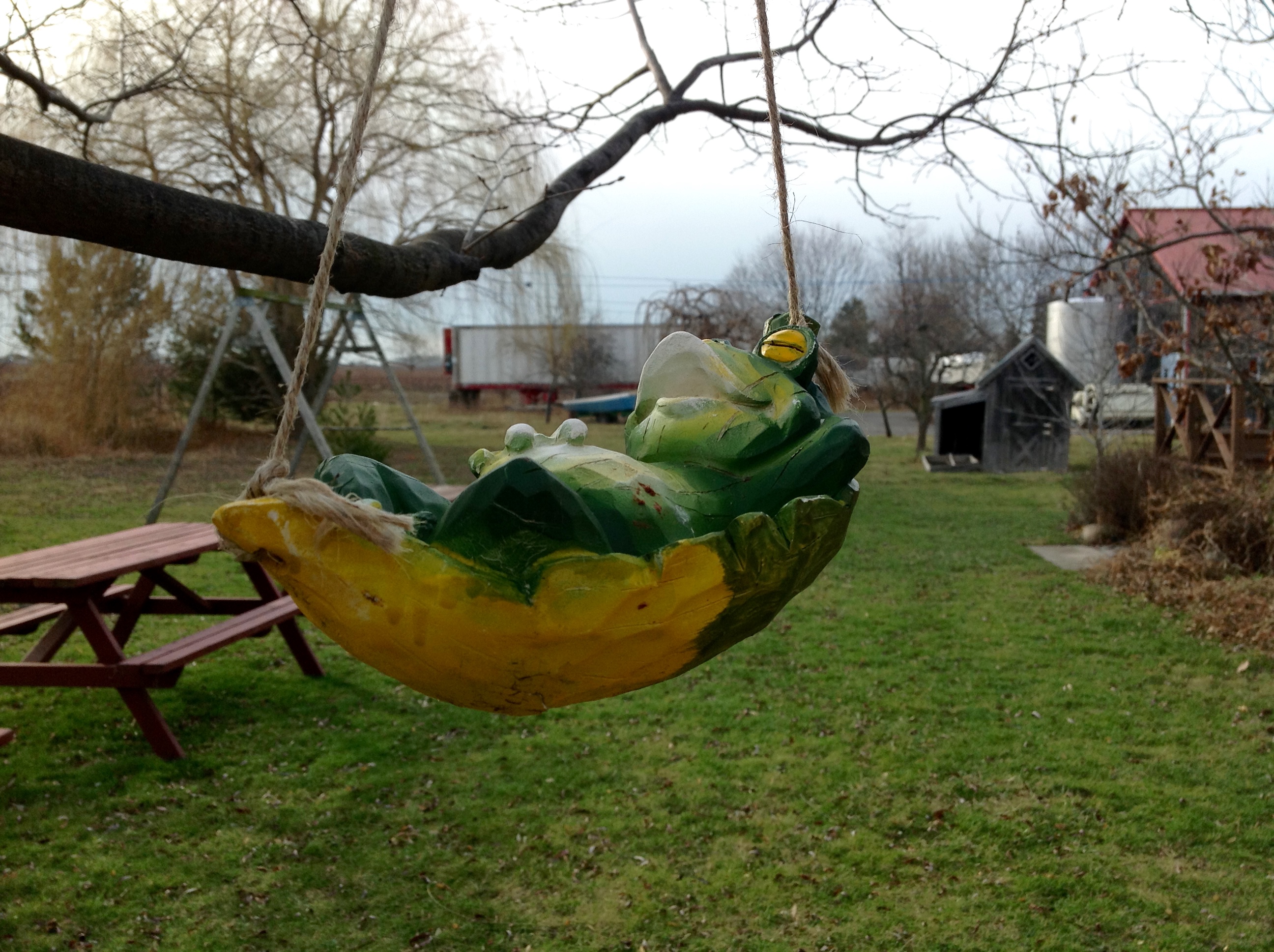 Frog Blog ~ Am I Allergic to Wine? - Frogpond Farm