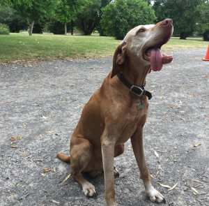 Frogpond Farm Organic Winery Staff Member