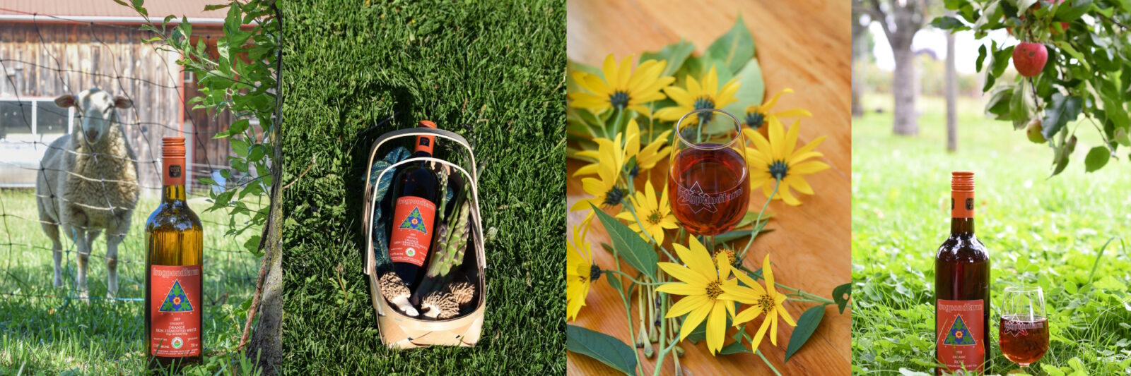 Frogpond Farm | Four images side by side: 1. A bottle of organic wine beside a sheep. 2. A bottle of wine with asparagus and morels in a basket. 3. A glass of rose surrounded by bright yellow flowers. 3. A bottle and glass of wine in the grass below an apple tree heavy with fruit.