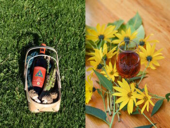 Frogpond Farm | Four images side by side: 1. A bottle of organic wine beside a sheep. 2. A bottle of wine with asparagus and morels in a basket. 3. A glass of rose surrounded by bright yellow flowers. 3. A bottle and glass of wine in the grass below an apple tree heavy with fruit.